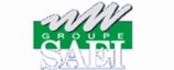 SAEI