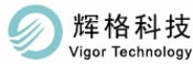 Shanghai Vigor Technology