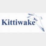 Kittiwake