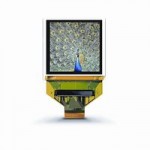OLED-дисплей