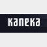 Kaneka Corporation