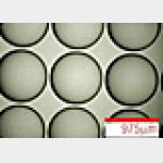 Microlens
