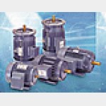 Электродвигатель переменного тока