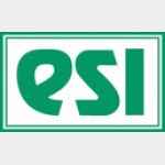 ESI Technology