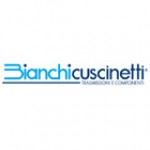 BIANCHI CUSCINETTI, SpA BIANCHI CUSCINETTI, SpA