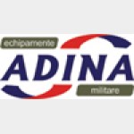 ADINA ADINA