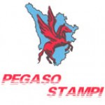 PEGASO STAMPI, Srl