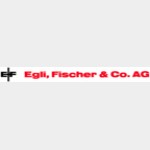 Egli, Fischer & Co. AG