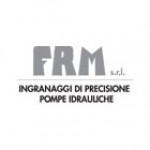 F.R.M., Srl