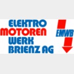 Elektromotorenwerk Brienz AG