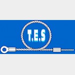 Techniques Elingues Services (TES) Techniques Elingues Services (TES)