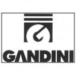 GANDINI, SpA
