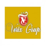 Verix Grup SRL