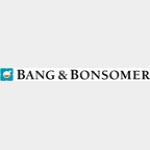 Bang & Bonsomer Group Ab Bang & Bonsomer Group Ab