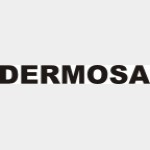 Design Etude R&eacute;alisation de Moules & Outillage S&eacute;tif Alg&eacute;rie (DERMOSA)
