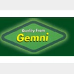 Gemni International