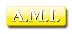 A.M.I.