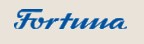Fortuna Maschinenbau Holding AG