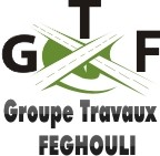 Groupe Travaux FEGHOULI (GTF)