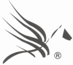 P&eacute;gase International SA