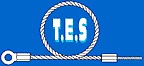 Techniques Elingues Services (TES)