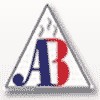 Ambica Boiler