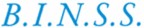 B.I.N.S.S. Datennetze und Gefahrenmeldesysteme GmbH