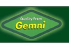 Gemni International