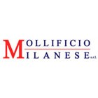 MOLLIFICIO MILANESE, Srl