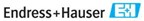 Endress+Hauser