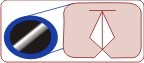 FLUIDEX,Sarl
