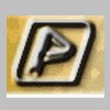 Pradeep Metals Ltd.